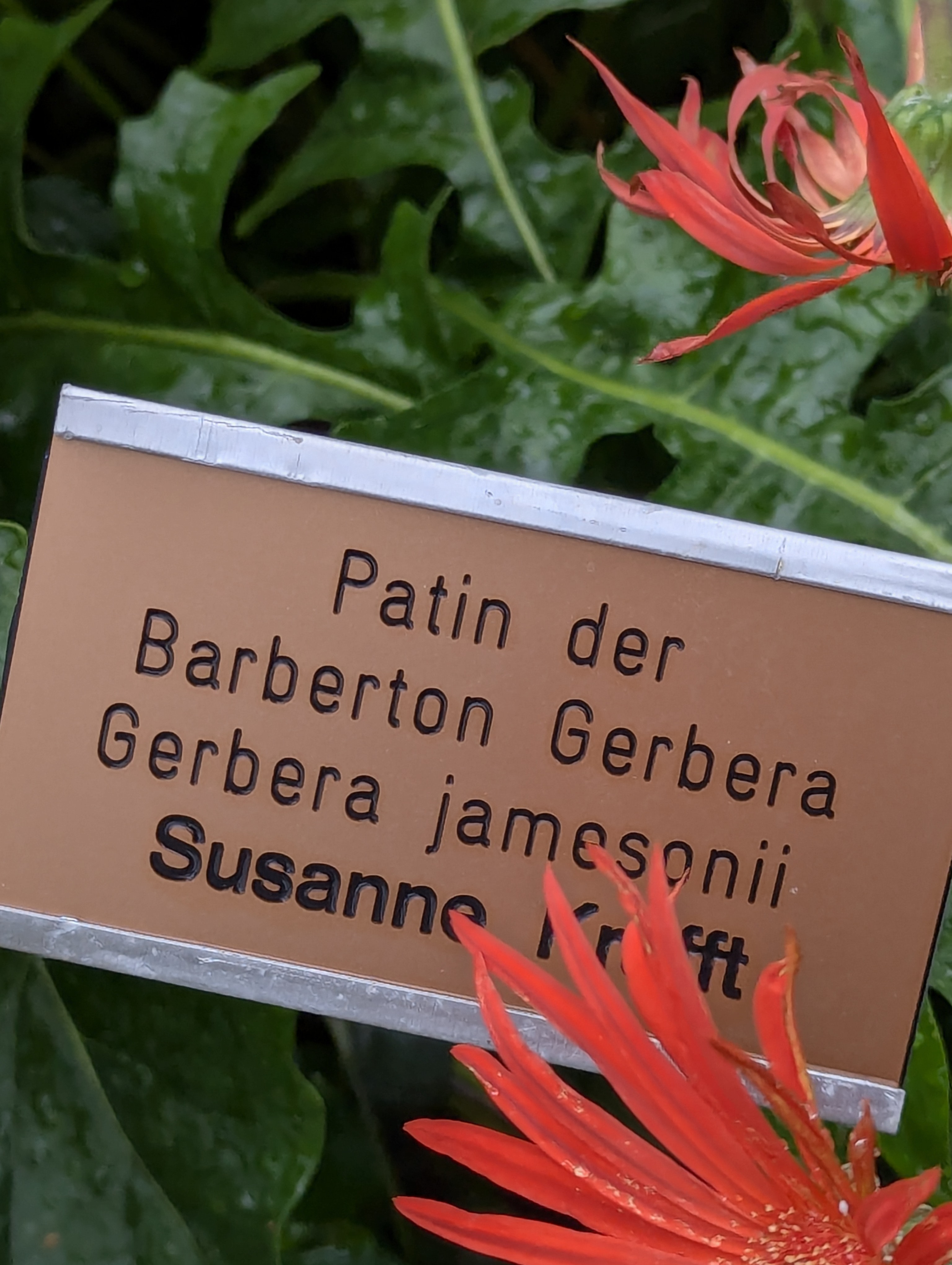 Botonic Gardens, Muenster, Germany